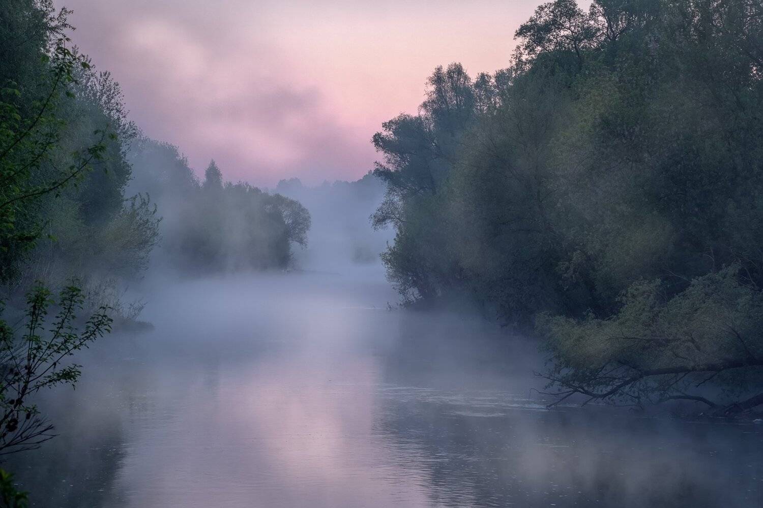 осетр, река, утро, рассвет, туман, вода, отражения, деревья, призраки, Андрей Чиж