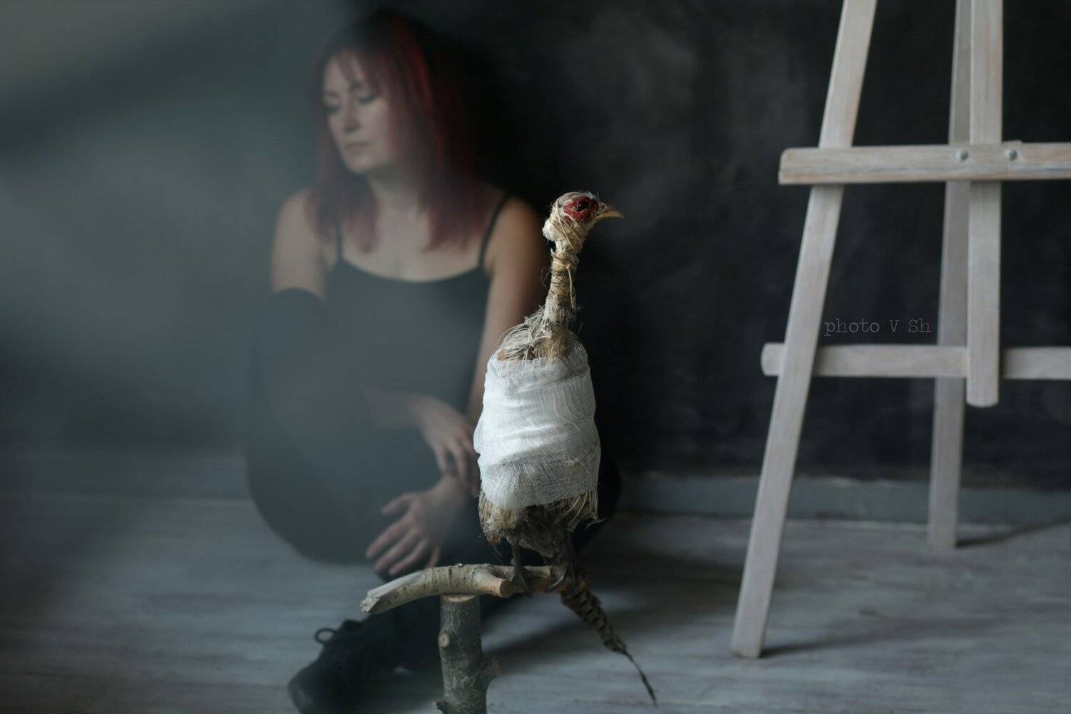 душа птица жанр, Вера Шамраева