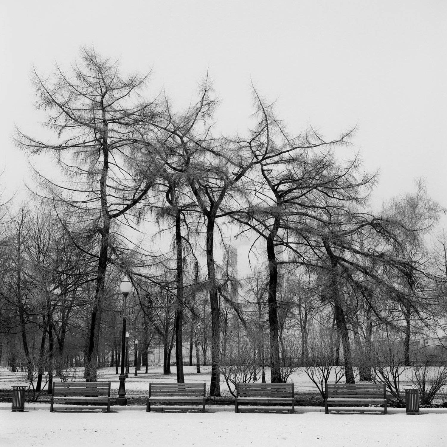 hasseldlad парк, Александр Резников