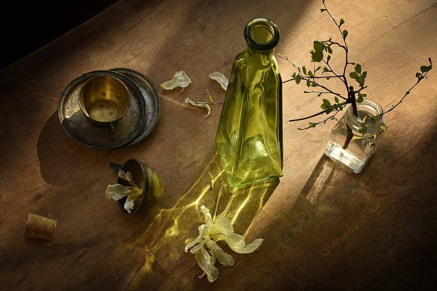 , Шипунова Ирина