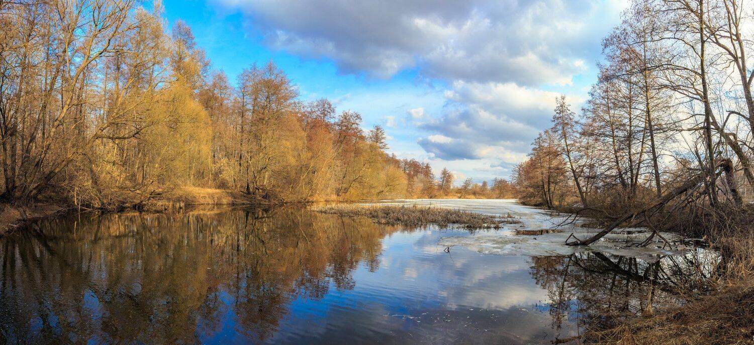 река, лес, весна, озеро, усмань, ольха, март, вода, Руслан Востриков