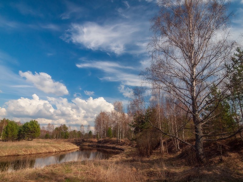 Весна на Нерли... фото превью