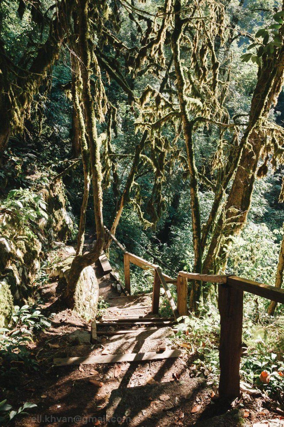 , Элина Хван