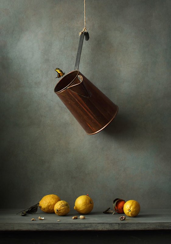 Кувшин, лимоны и бабочка фото превью