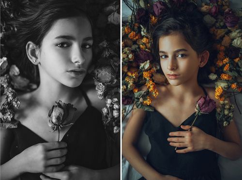 Flowers