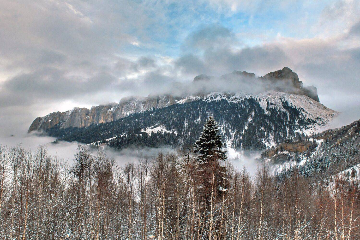 , Митя Андреев