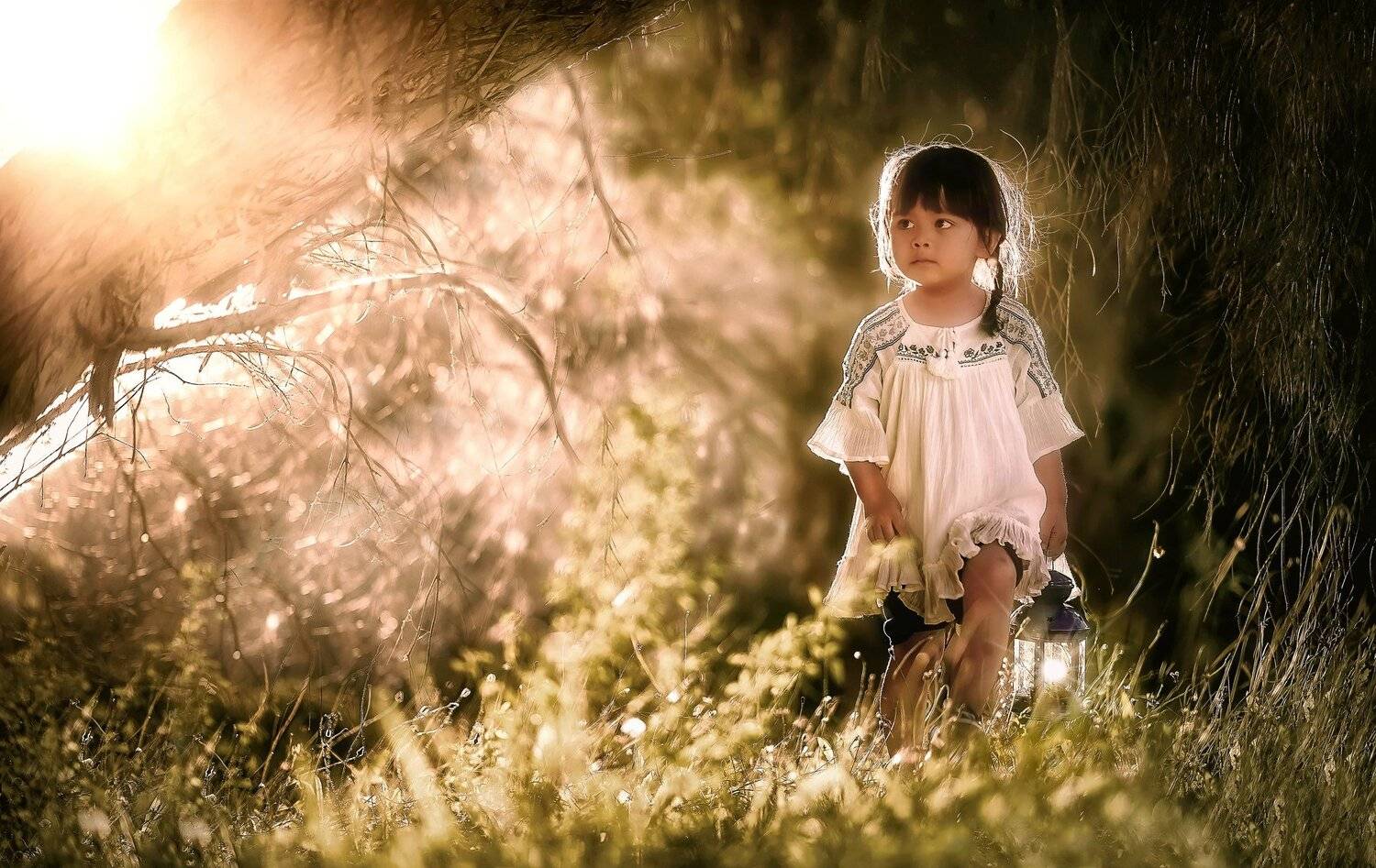 , Despird Zhang