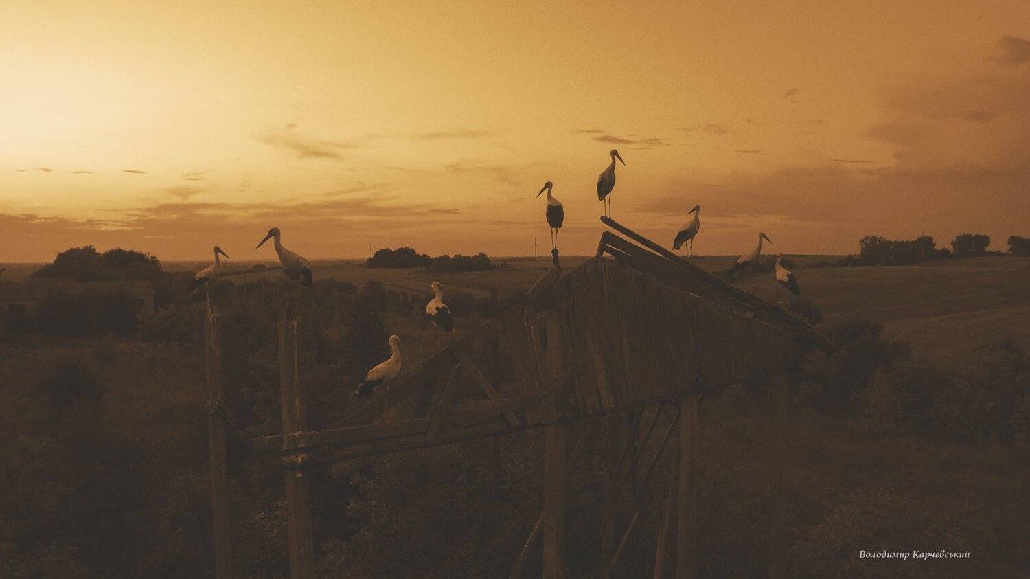 , Володимир Карчевський