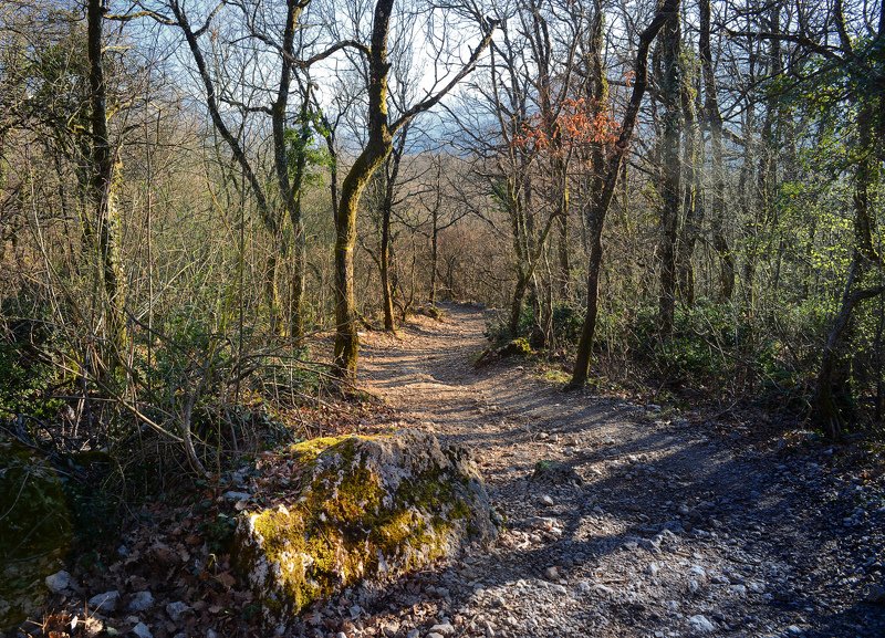 alpes  фото превью