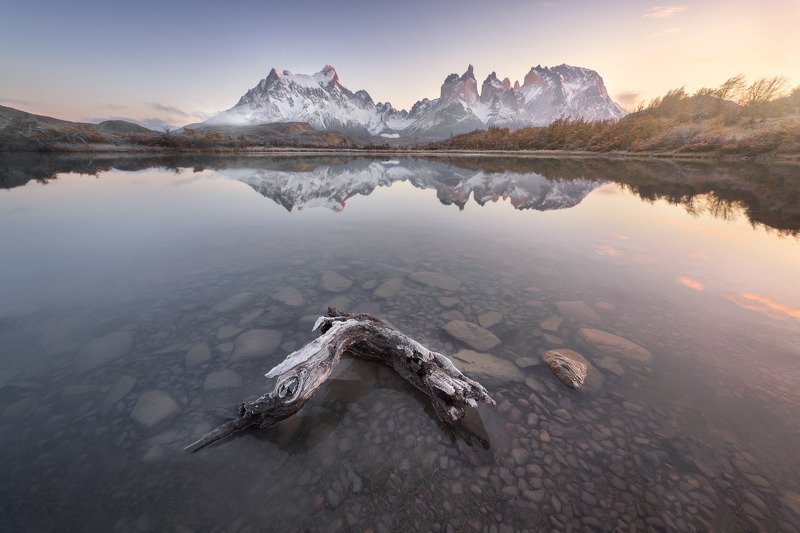america, andes, beautiful, blue, chile, clouds, cuernos, dead, del, dry, frost, glacier, hiking, hill, ice, lake, landmark, landscape, light, log, mirror, morning, mountain, national, nature, outdoor, paine, park, patagonia, peak, pehoe, range, reflection A Dream in a Mist of Gray фото превью