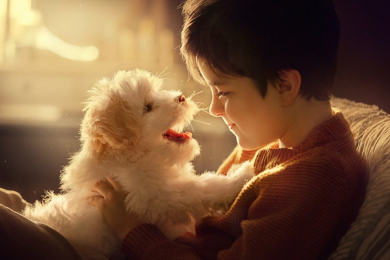 фото превью