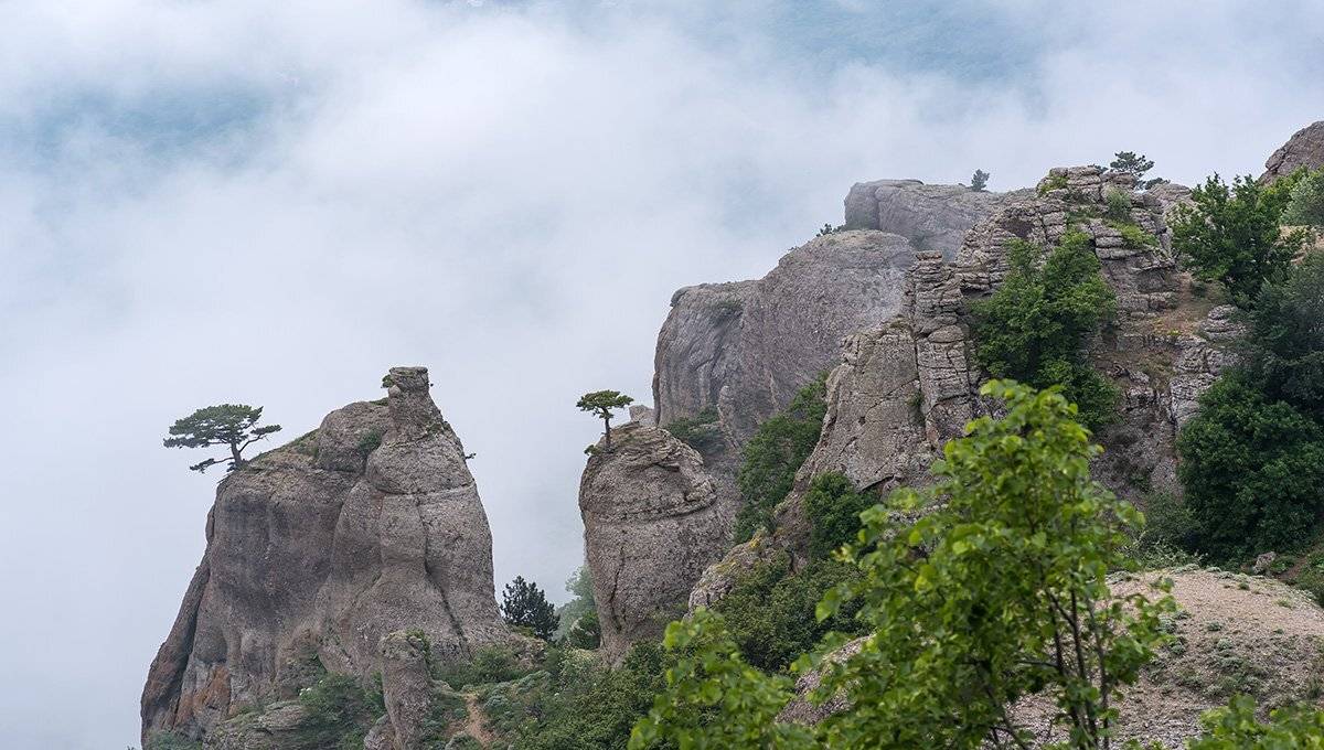 , Александр Земляной