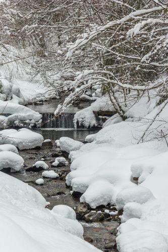 Winter in the Vladeasa Mountains. 
