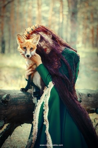 Foxes