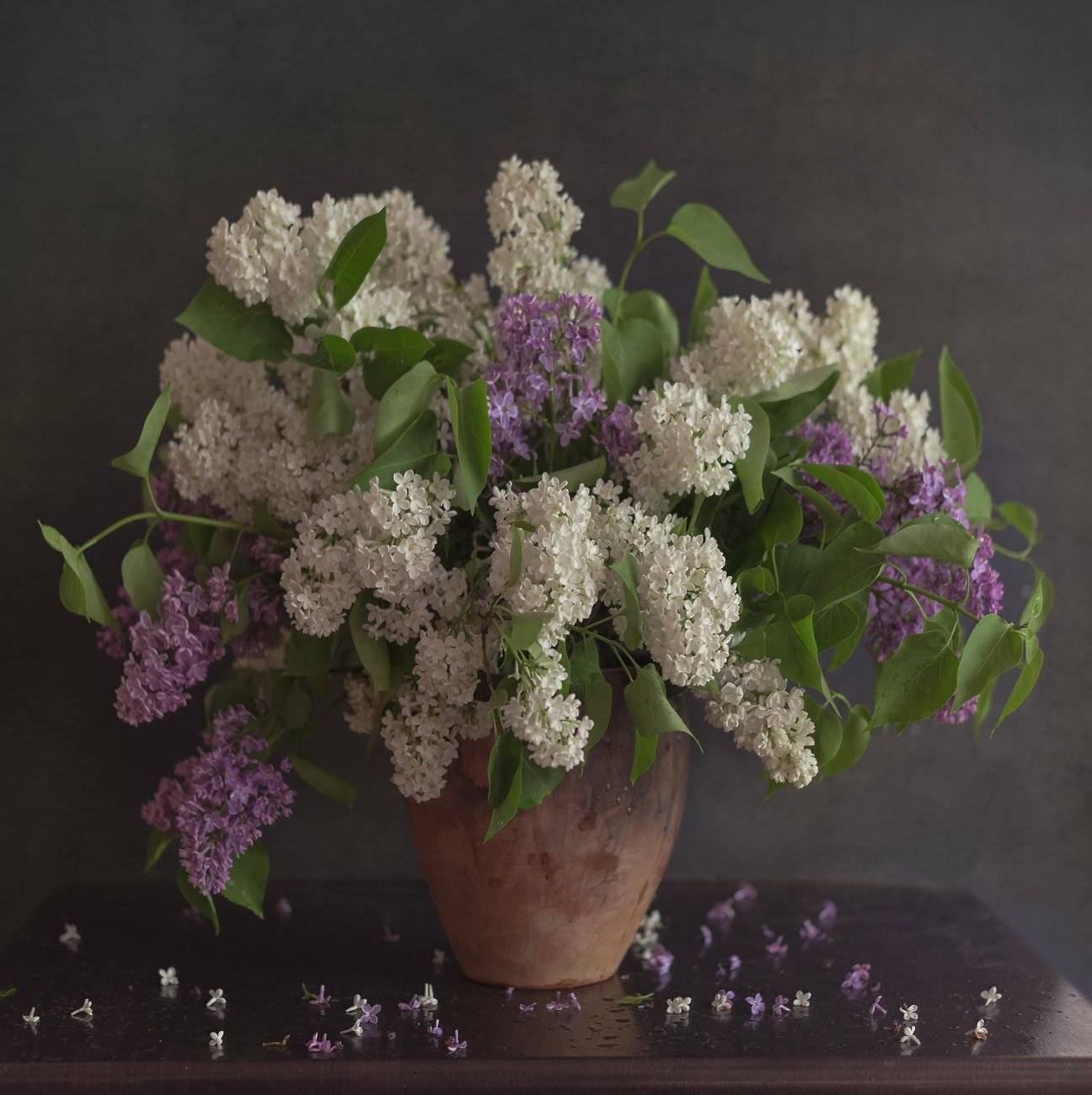 , Елена Брежицкая