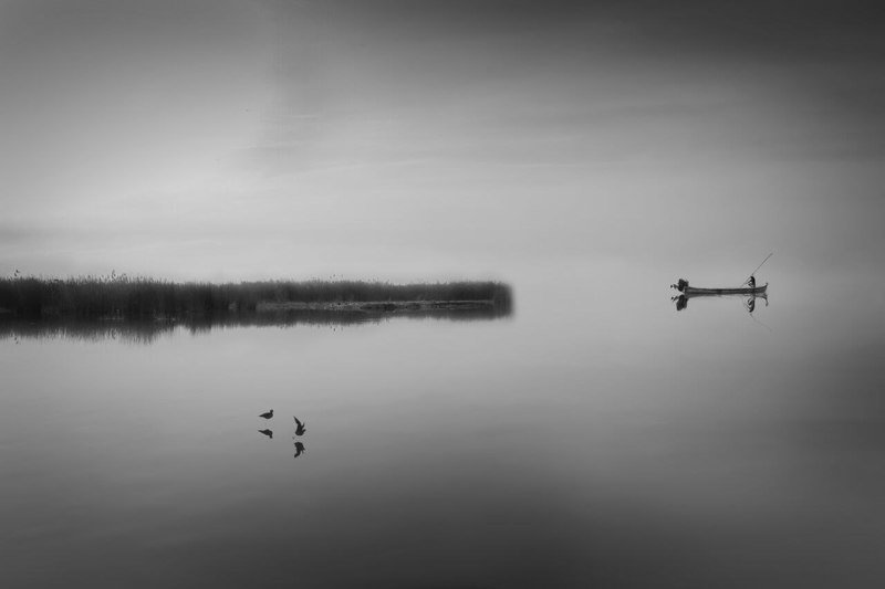 The fish man фото превью