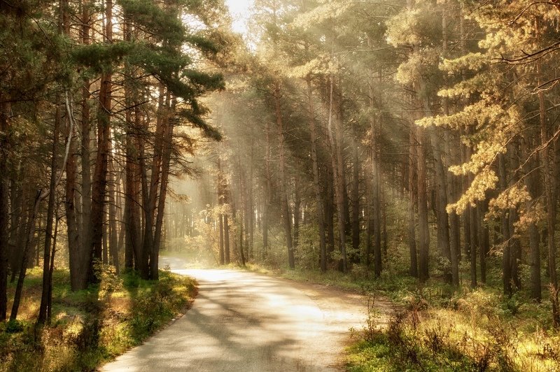 Ранняя дорога фото превью