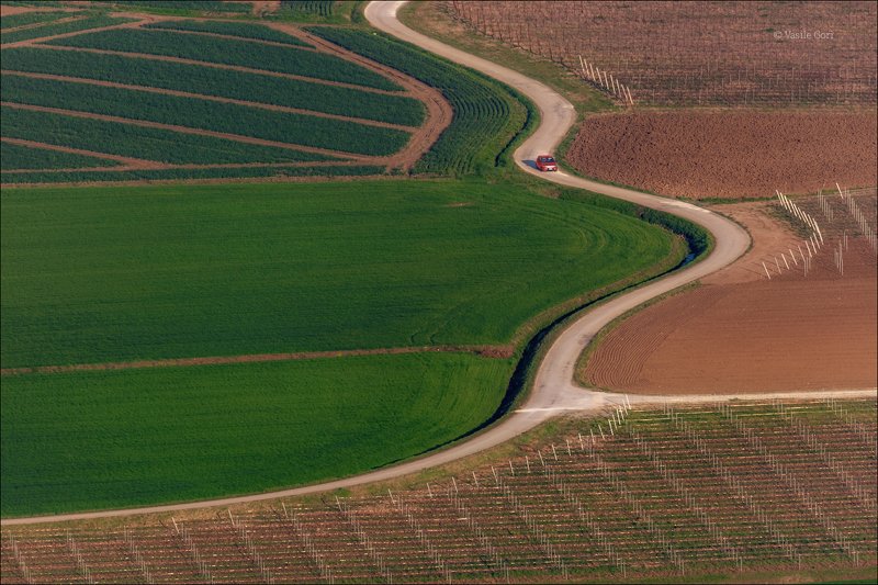 italy, villaga, дорога, весна, фиат, colli berici, италия, холмы беричи, road, hills, landscape ZigZag Rally фото превью