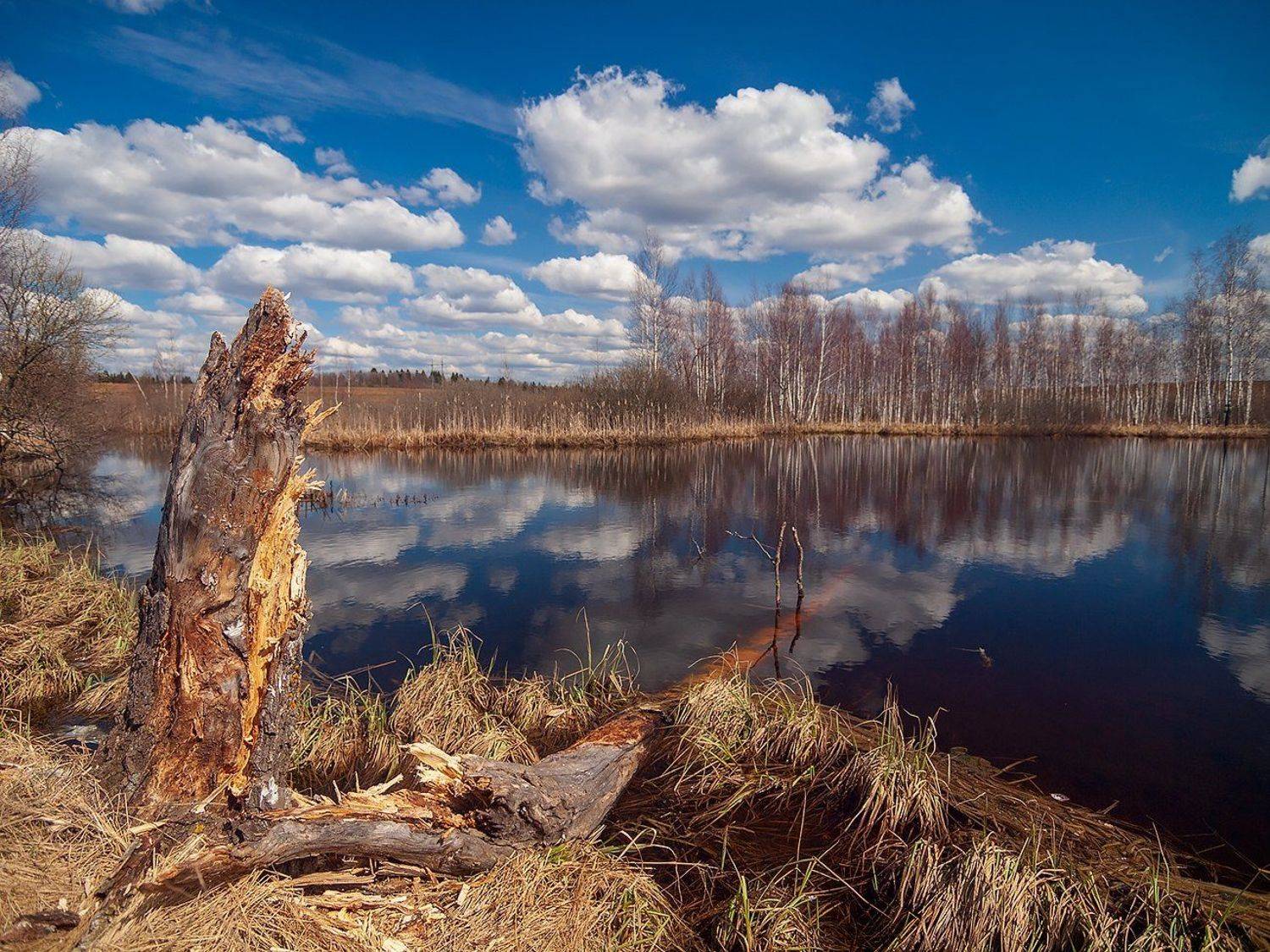 , Владимир Перепечаев