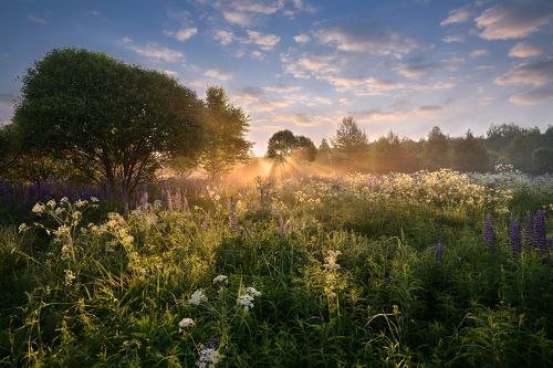 летний рассвет