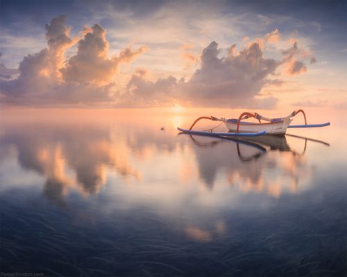 Life of Pi