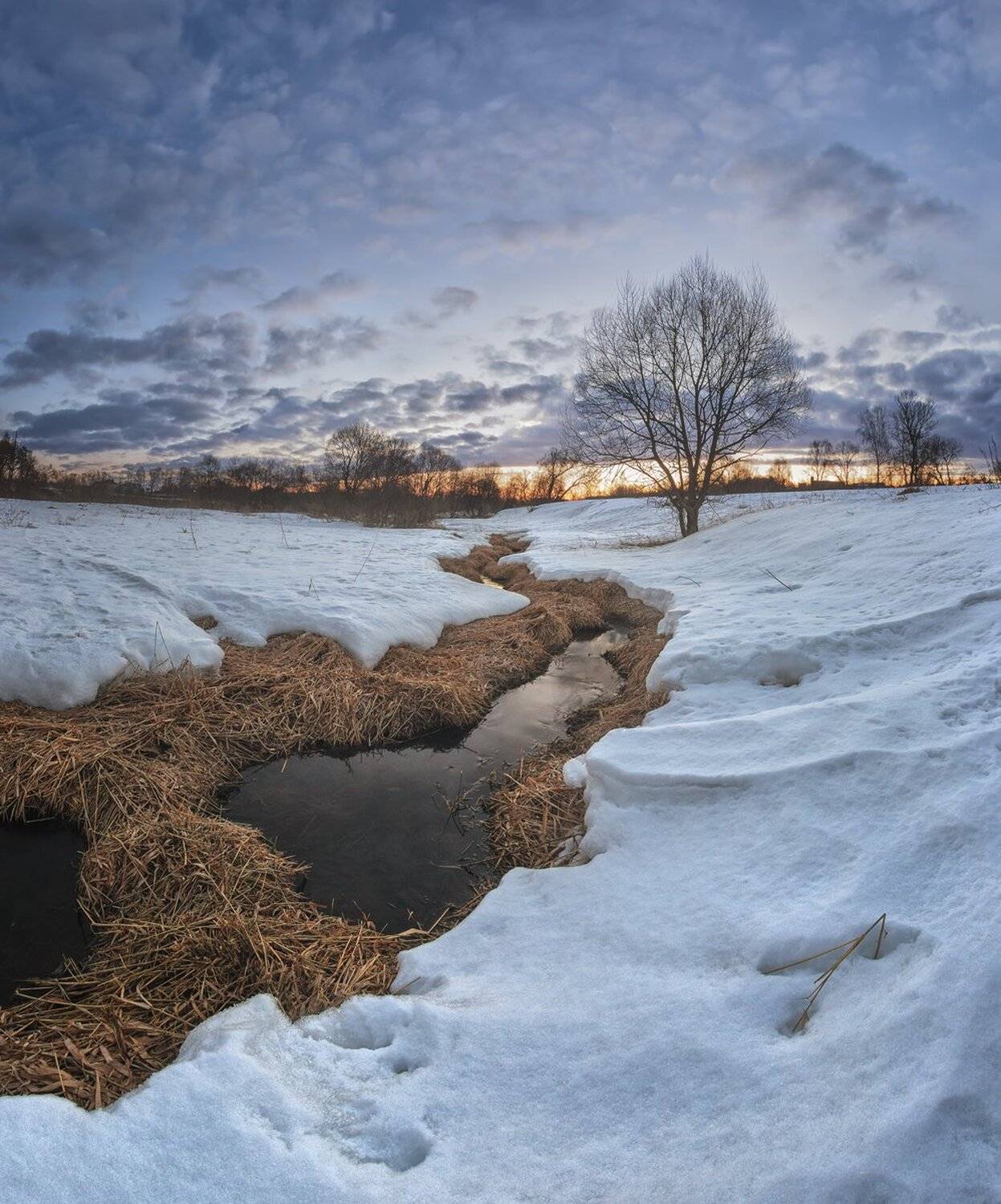 , Николай Андреев