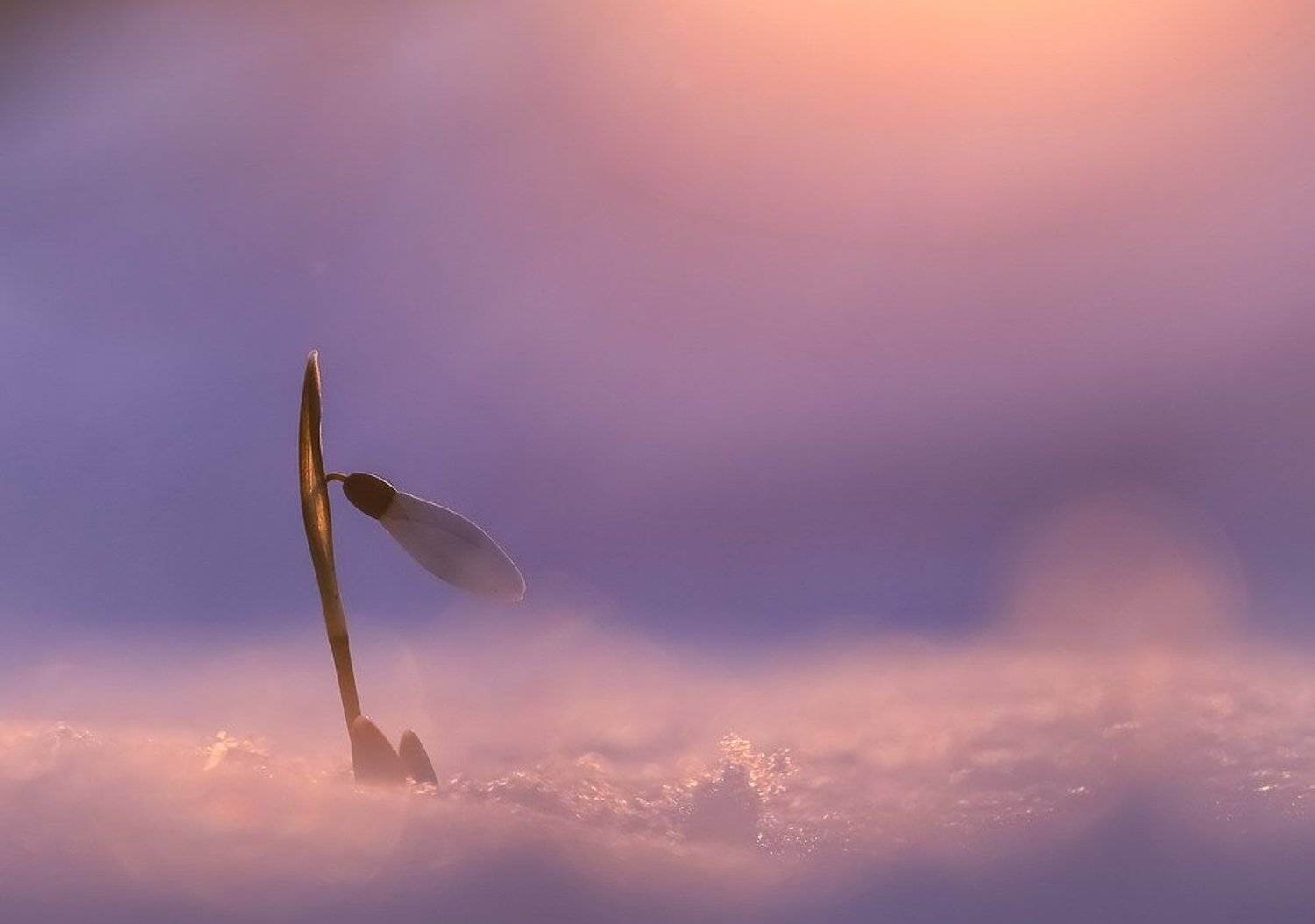 , Вячеслав Мищенко