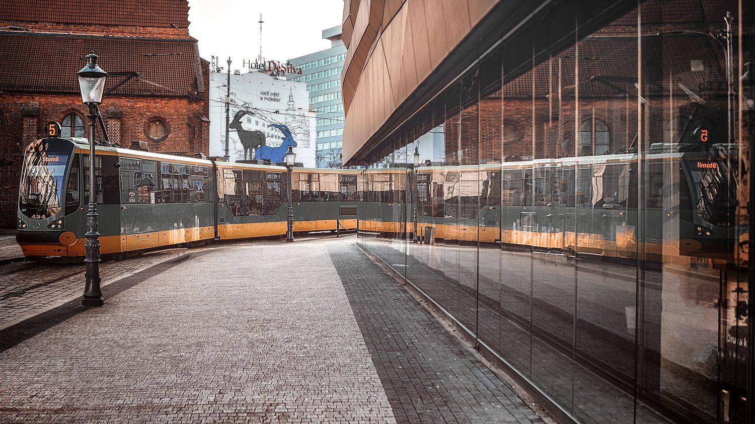 , Piotr Ryba Rybicki