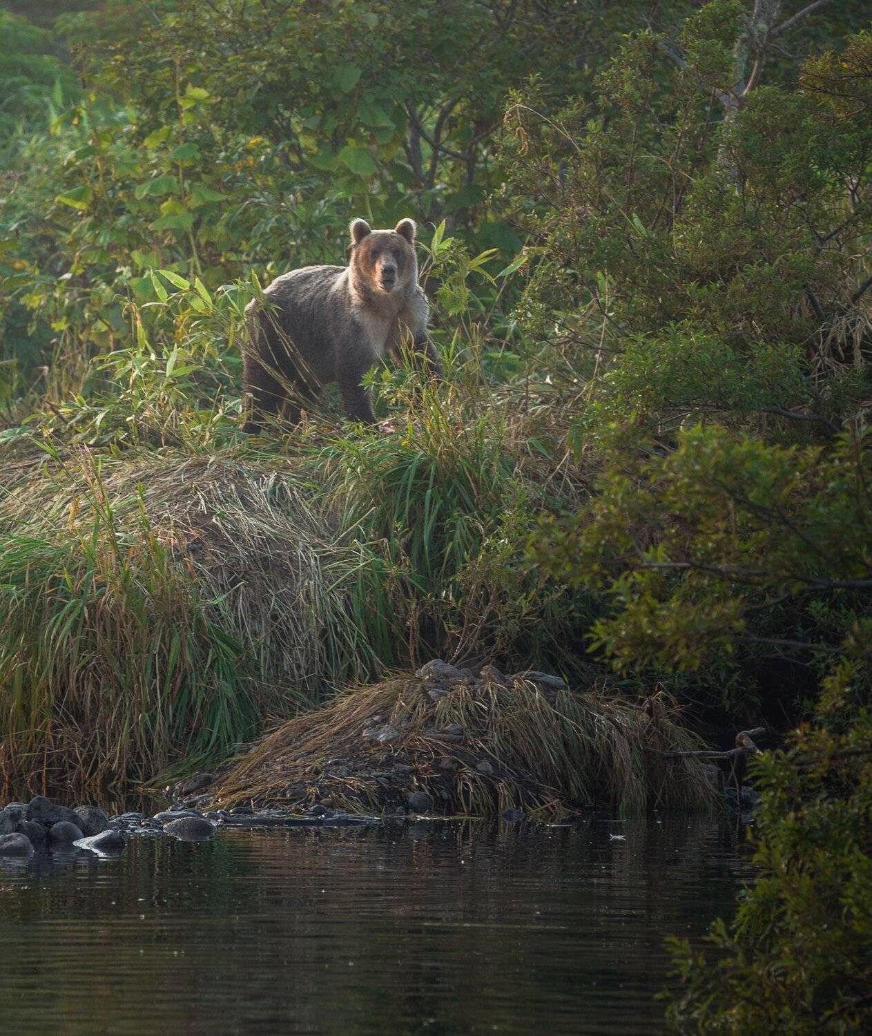 , Артем Удодов