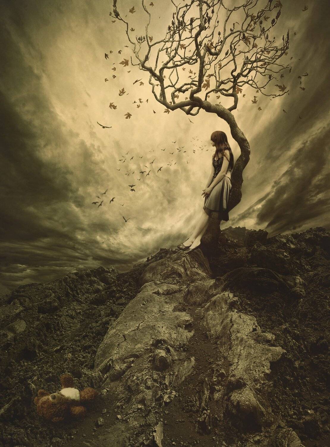 девочка, скала, облака, дерево, Sergii Vidov