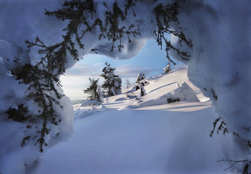 Окно в Заполярье фото превью