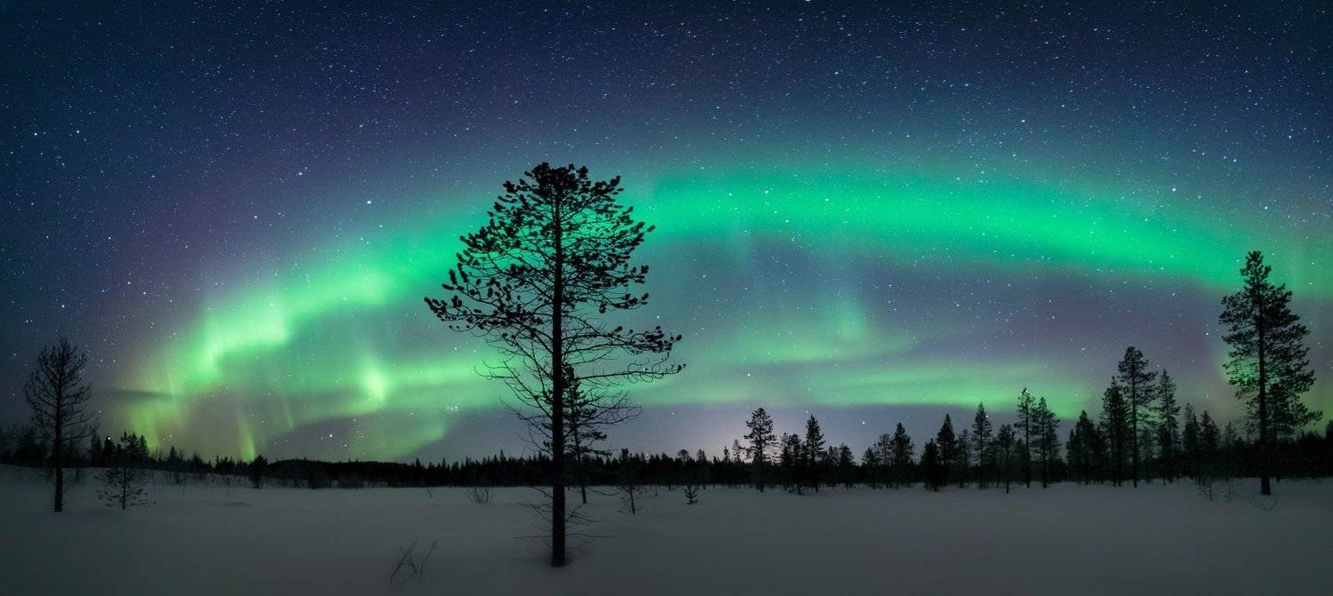 северное сияние,север,териберка,мурманск,ночь,звезды,лес,снег,зима,аврора,фототур,россия, Elena Pakhalyuk