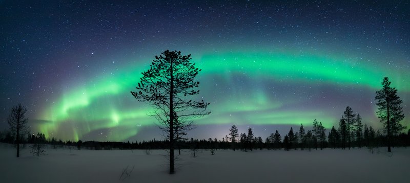 северное сияние,север,териберка,мурманск,ночь,звезды,лес,снег,зима,аврора,фототур,россия Сияние севера фото превью