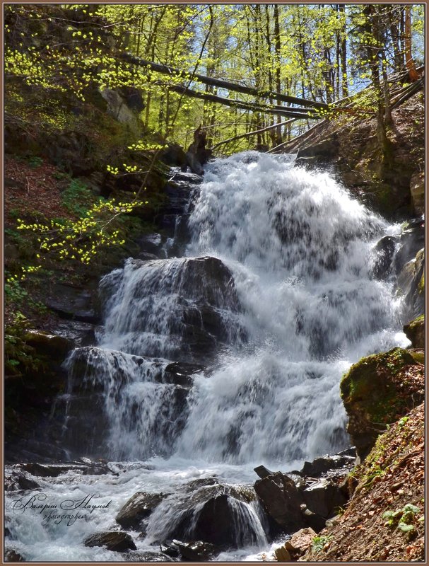 карпаты, боржава, весна, водопад шипот, листочки Водопад Шипот фото превью