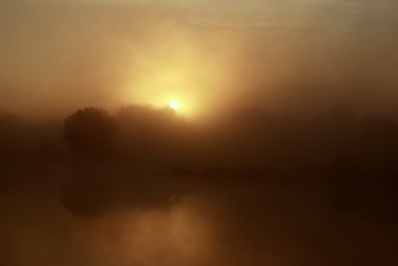 Туманный рассвет фото превью