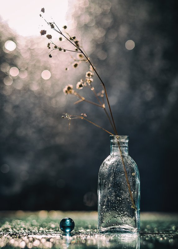 После дождя. фото превью