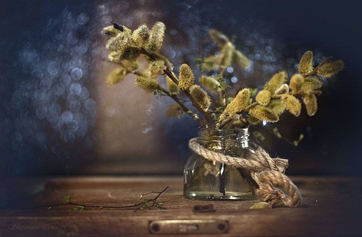 , Шипунова Ирина