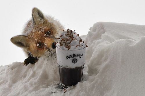 Welcome to coffee