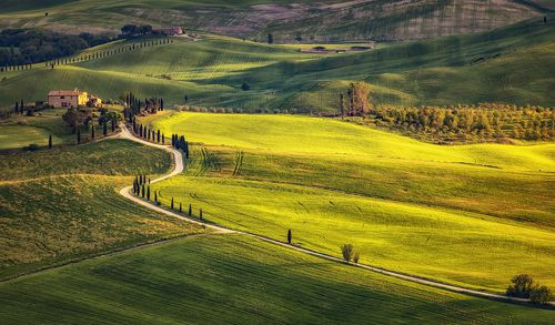 по диагонали