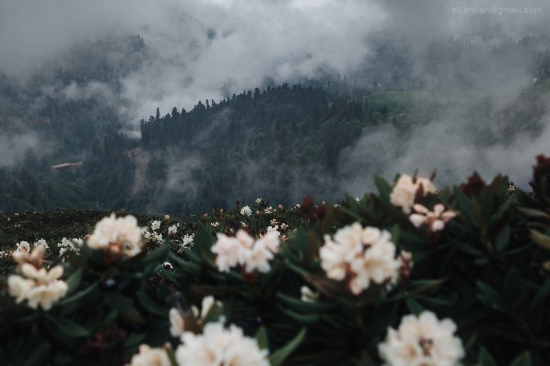 Весна в горах фото превью