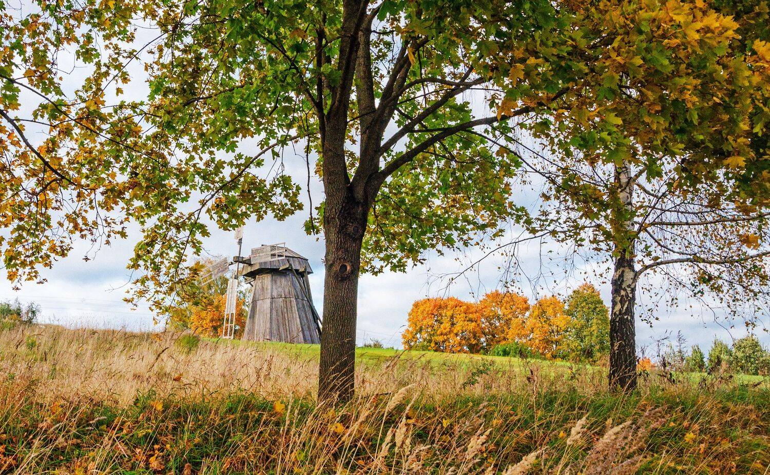 , Александр Березуцкий