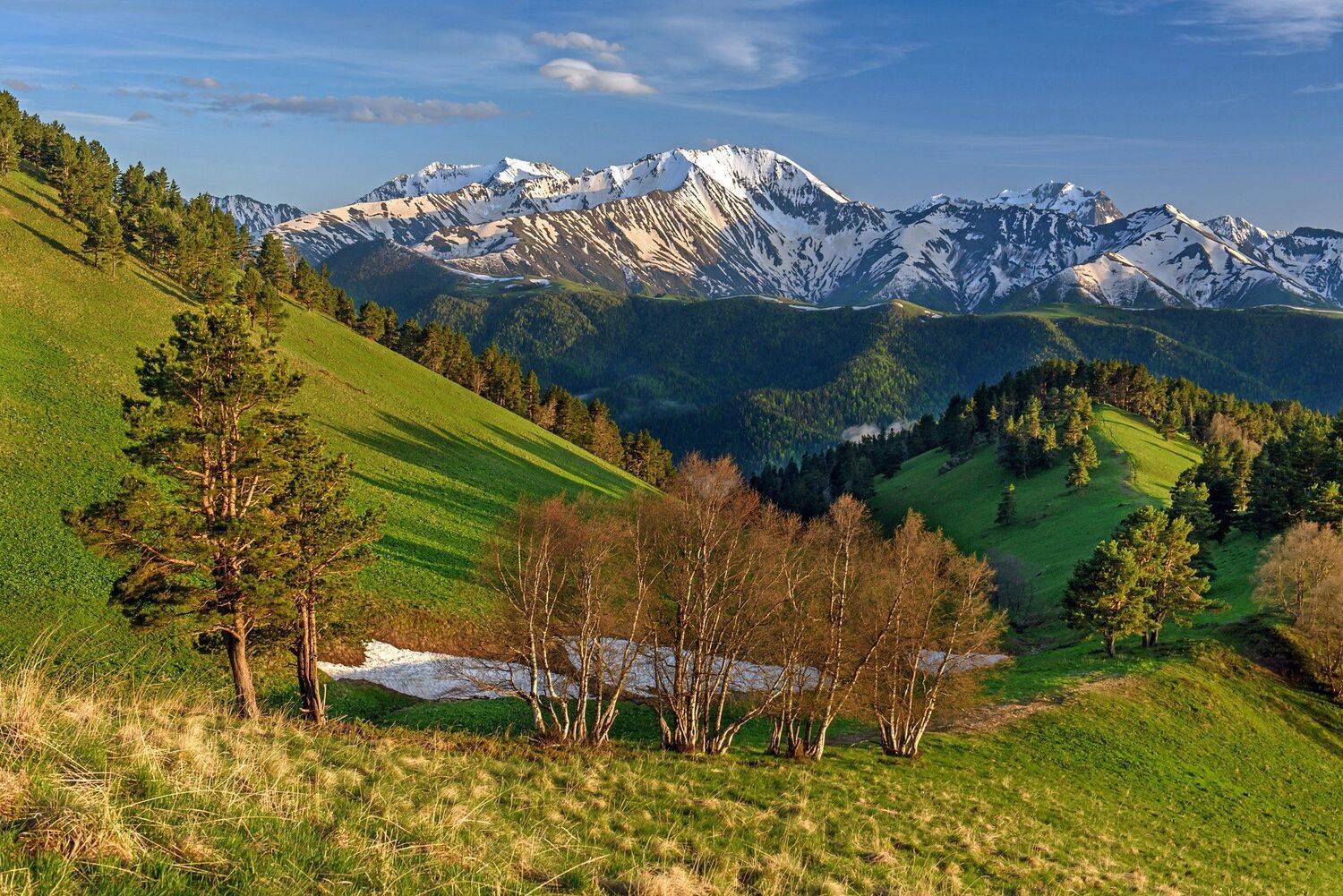 , Митя Андреев