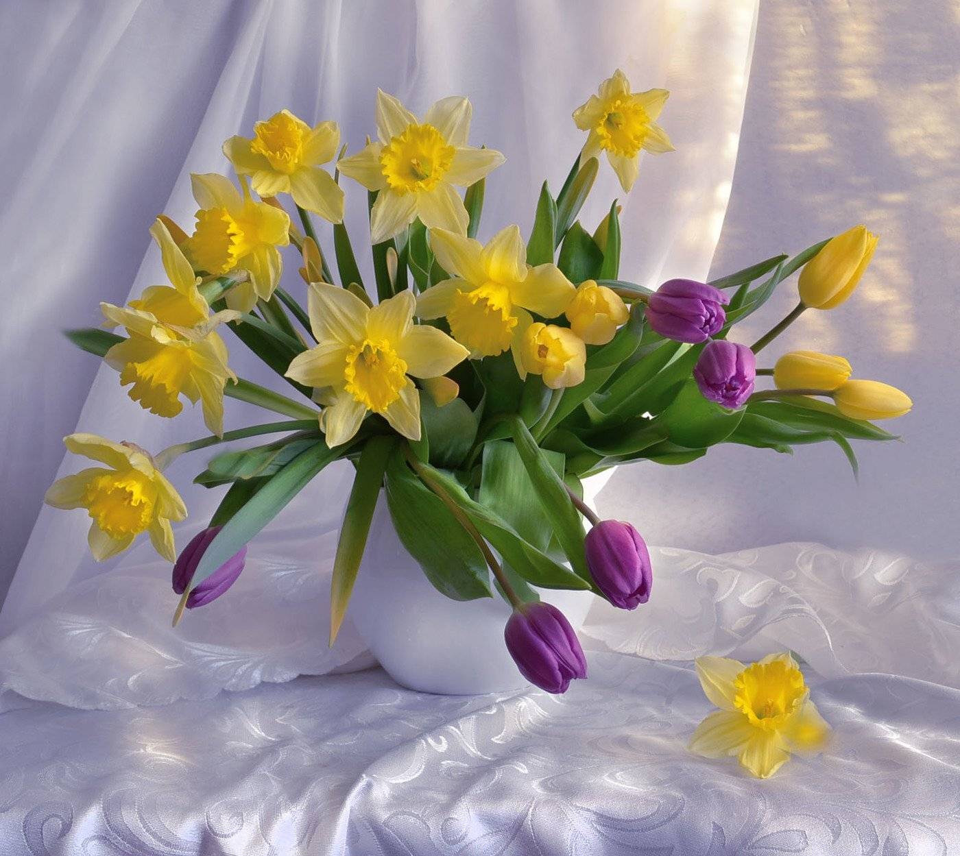 still life,натюрморт,фото натюрморт, весна, март,цветы, нарциссы, тюльпаны, Колова Валентина