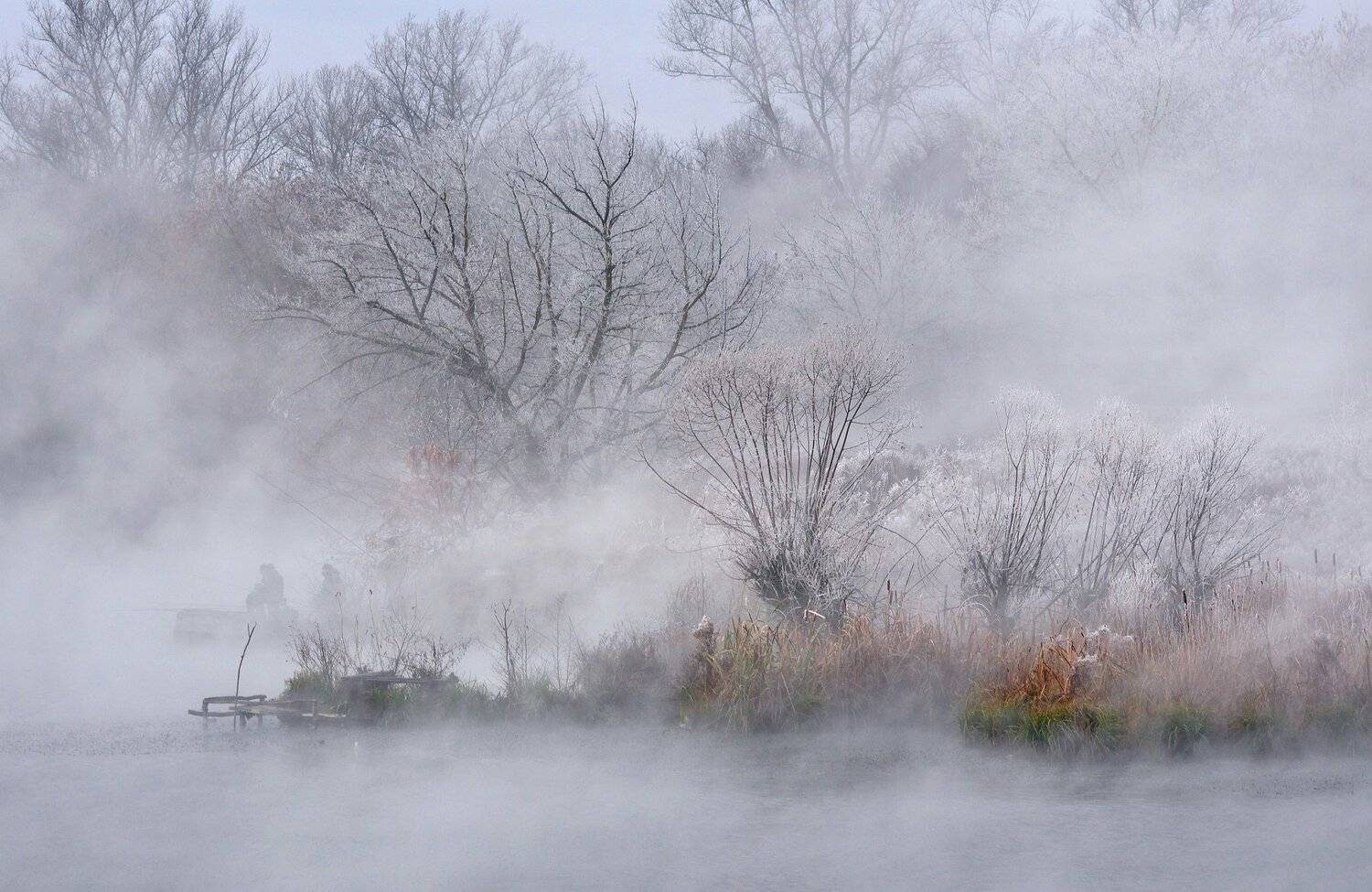 , Макеев Алексей