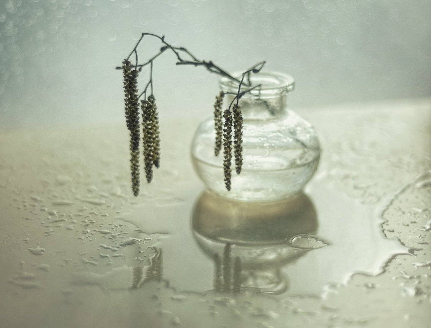 натюрморт,весна,сережки,ольха, Наталия К