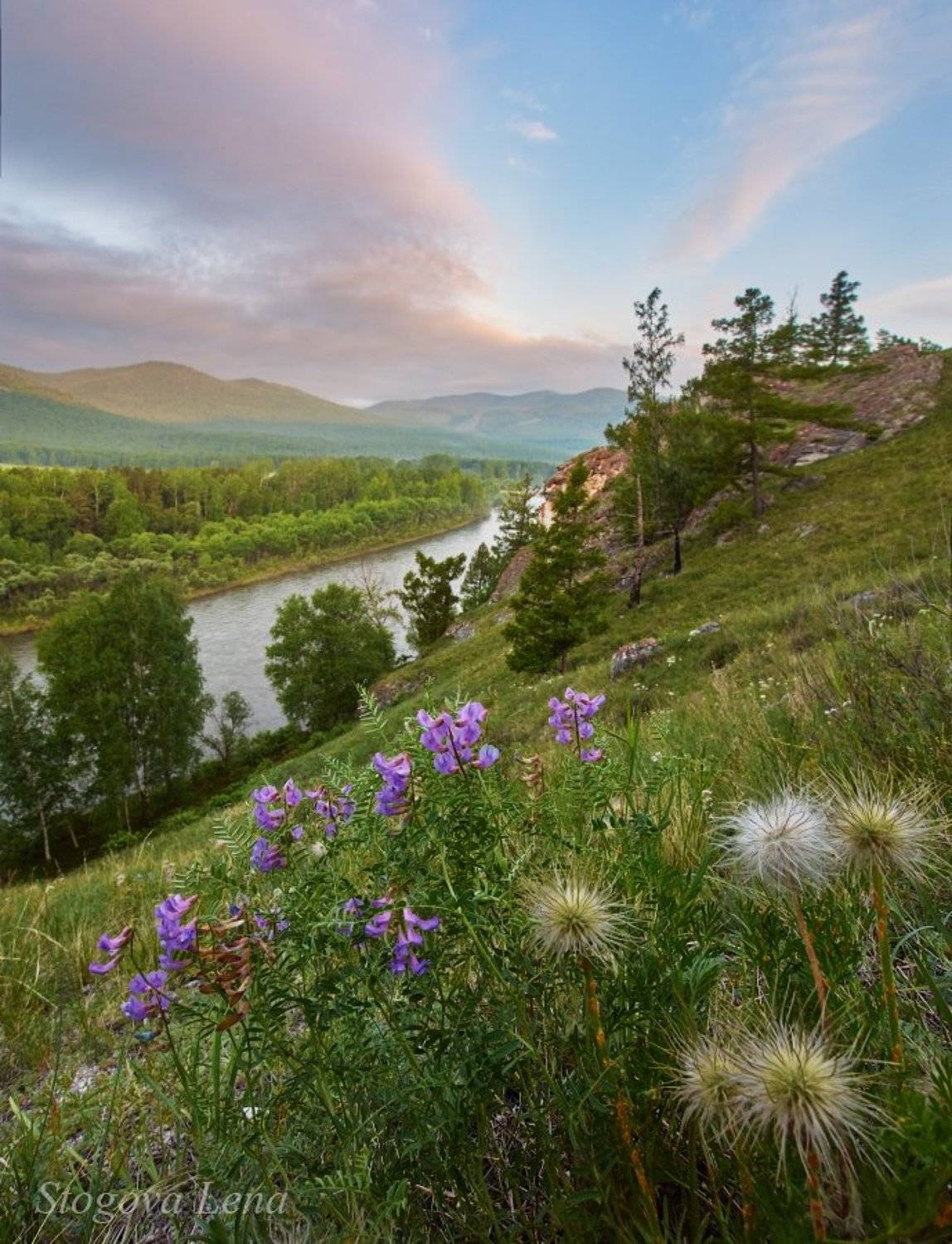 белый июс, хакасия, Лена Стогова