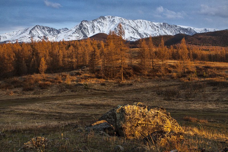 алтай, ледник актру, актру, алтайский край, долина, весна,осень, лиственницы, ледник,ледники Камень. фото превью