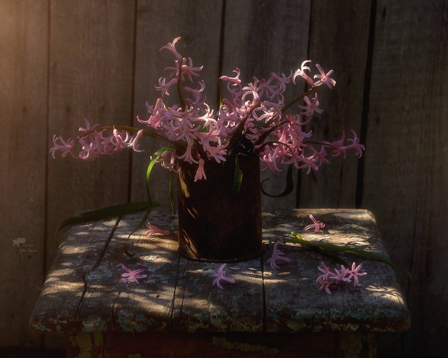 , Инна Сухова