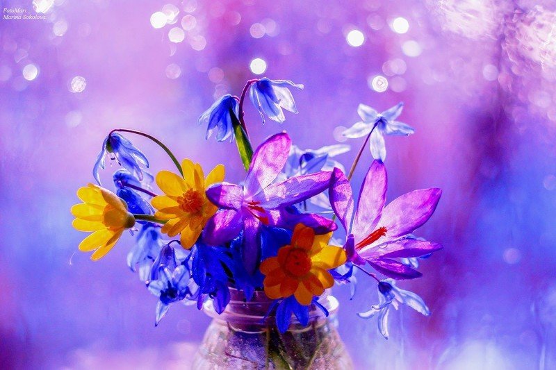 Весеннее утро... фото превью