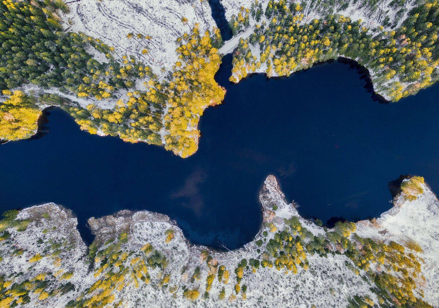 forest, spring, winter, ice, Mārcis Baltskars